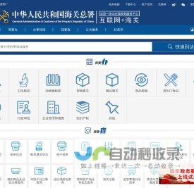 互联网+海关