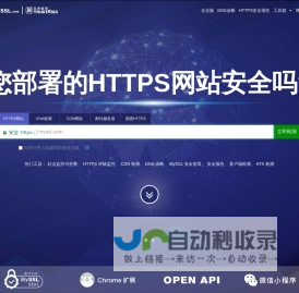 亚数信息-SSL/TLS安全评估报告