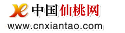 中国仙桃网 仙桃门户 权威发布 2023