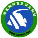 海友网CMF-海水观赏鱼网