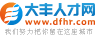 大丰人才网,大丰招聘网,大丰人才市场招聘信息-DFHR.Com