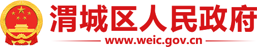 渭城区人民政府