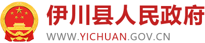 伊川县人民政府